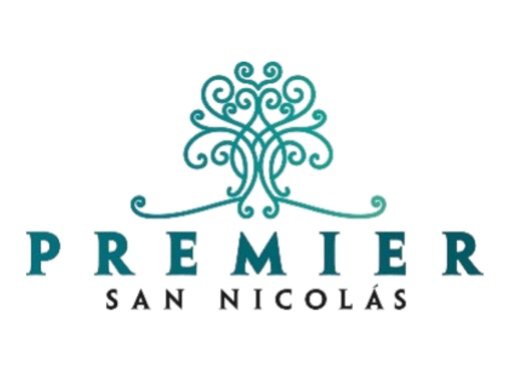 Premier San Nicolás